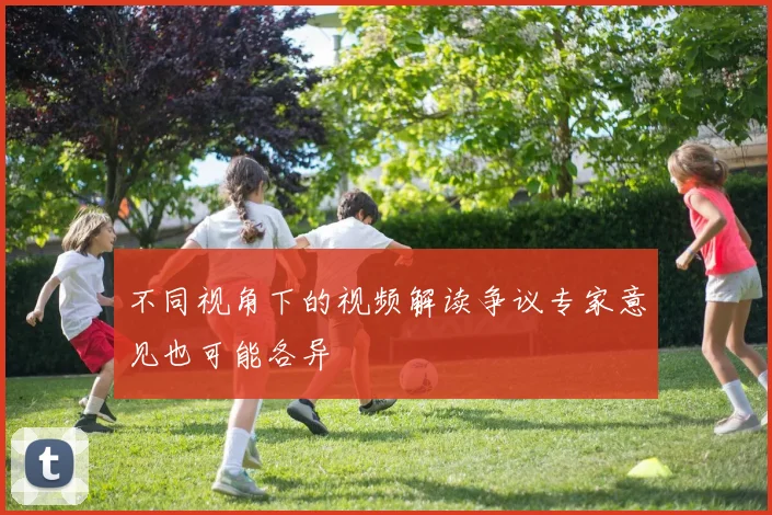 不同视角下的视频解读争议专家意见也可能各异